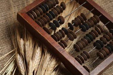 Çuval bezinde buğday dikenli abaküs