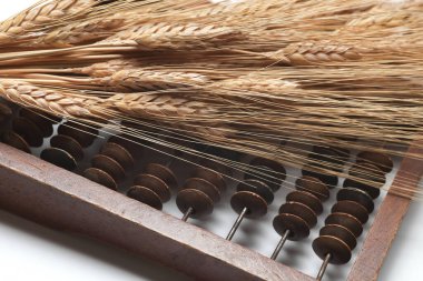 Beyaz arka planda abaküs ve buğday başakları. Gıda krizi