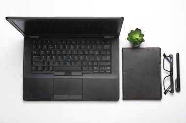 Çalışma alanı. Not defterli dizüstü bilgisayar, gözlük, beyaz arka planda bitki. Düz yatıyordu. Üst görünüm