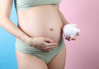 İç çamaşırlı hamile bir kadın mavi pembe arka planda kumbarasını tutuyor. Ana sermaye