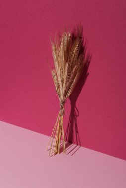 Pembe arka planda, gölgeli buğday başakları.