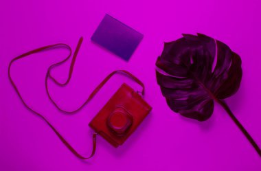 Minimalist, durgun bir hayat sürdüm. Canavar yaprağı, örtülü retro kamera, pembe neon ışıklı pasaport. Üst görünüm