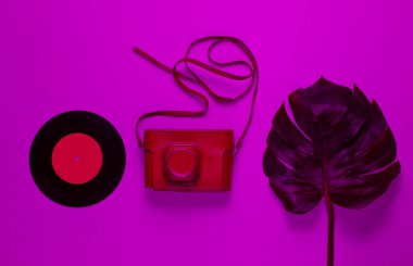 Deri bir çantada eski bir kamera, kayış, vinil kayıt ve pembe neon ışıkta yeşil canavar yaprağı. Klasik düz yatak stili. Üst görünüm