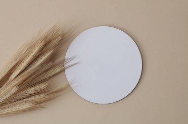 Altlıklar, beyaz yuvarlak maketler ve bej arka planda buğday kulakları.