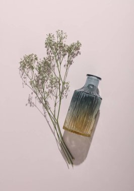 Bej bir arka planda gölgesi olan çingene çiçekli cam vazo.