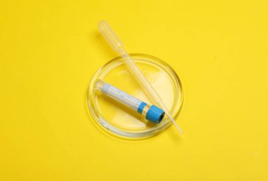 Pipetli Petri kabı, sarı arka planda test tüpü..