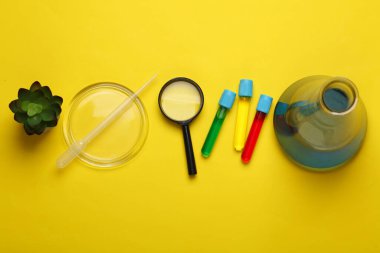Laboratuvar camları (mataralı test tüpleri) ve sarı arka planda aksesuarlar. Üst Manzara. Düz yatıyordu