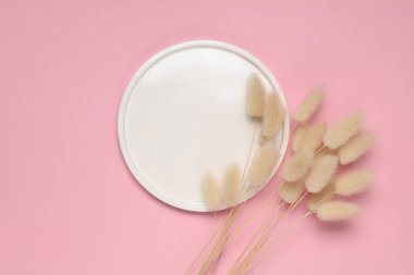 Pembe arka planda kuru çiçekli sıva tabağı. Üst Manzara. Yaratıcı yerleşim