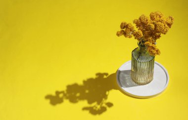 Sarı arka planda sarı bir vazoda kurutulmuş çiçek buketi.. 