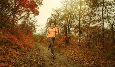 Sonbahar ormanında koşuyor. Spor kıyafetli genç bir kadın orman yolunda kırmızı yapraklarla koşuyor. Sağlıklı yaşam tarzı kavramı