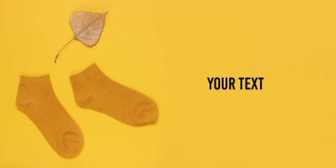 Sonbahar geldi. Sarı arka planda kurumuş yapraklı turuncu çoraplar ve mesajın için yer. Üst görünüm