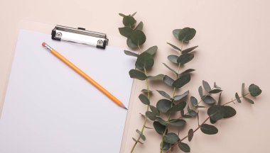 Kalem ve okaliptüs filizi ile bej arka planda pano. Düz yatıyordu