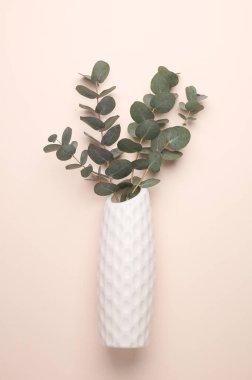 Bej arkaplanda vazoda okaliptüs filizi