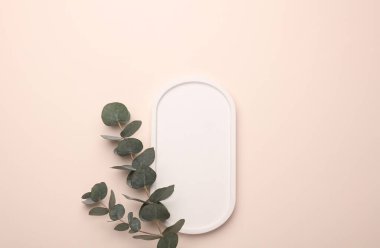 Bej arka planda okaliptüs filizi olan alçıtaşı dekoratif tepsi. Güzellik ürünleri için vitrin. Üst görünüm