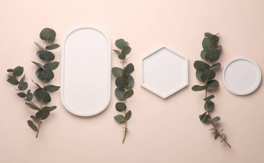 Bej arka planda okaliptüs filizi olan alçıtaşı dekoratif tepsiler. Güzellik ürünleri için vitrin. Üst görünüm