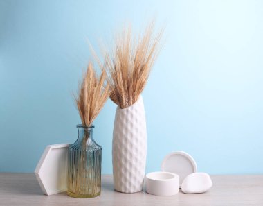 Mavi arka planda kuru buğday kulaklı ve alçı şekilli vazolar. Minimalist natürmort