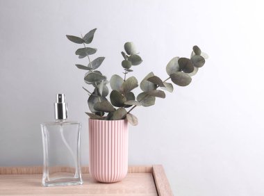 Okaliptüs vazosu ve gri arka planda parfüm şişesi.