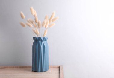 Gri arkaplanda vazoda Lagurus çiçeği