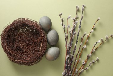 Easter eggs in nest and pussy willow branches on green background. Top view
