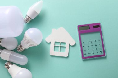 Nane yeşili arka planda, hesap makinesi ve ev modeliyle farklı şekillerde LED ampuller. Elektrik tasarrufu