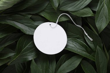 Yeşil bitki yapraklarında beyaz fiyat etiketi