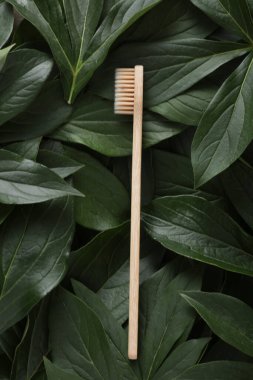 Yeşil bitki yaprakları üzerinde eko bambu diş fırçası