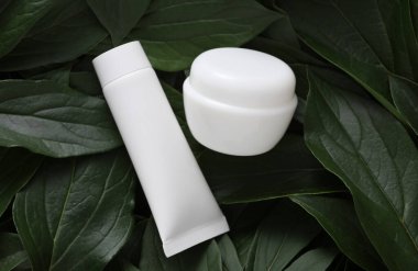 Yeşil bitki yaprakları üzerinde beyaz plastik krem tüp ve kavanoz