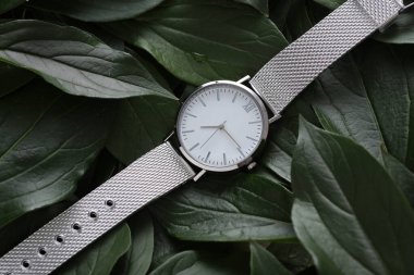 Yeşil bitki yapraklarının üzerindeki gümüş kol saati