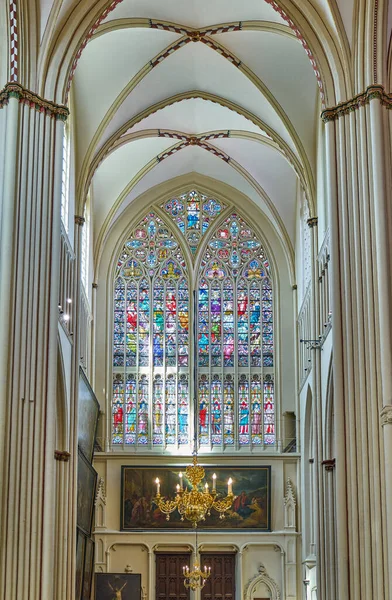 벨기에의 2020 Interior View Salvator Cathedral — 스톡 사진