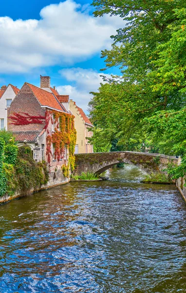 Bruges Belgia Case Tradiționale Ale Orașului Vechi Canal — Fotografie, imagine de stoc
