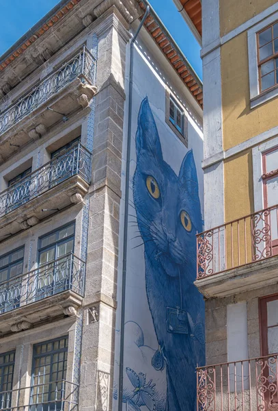 Porto Portugal Avril 2023 Chat Bleu Peint Entre Les Palais — Photo