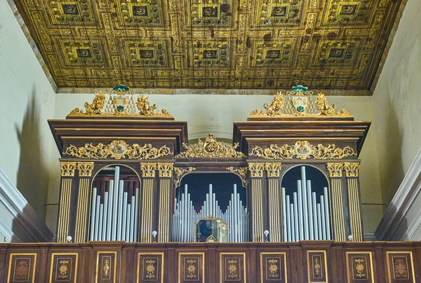 Taranto Italy November 2022 Main Organ Cataldo Cathedral — Stock Photo, Image