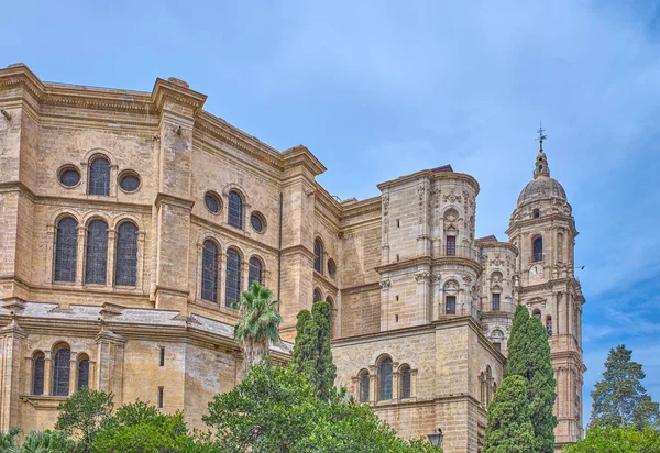 Malaga, Spain,  view of the Renaissance architectures of the Malaga Cathedral ,or Santa Iglesia Catedral Baslica de la Encarnaci,