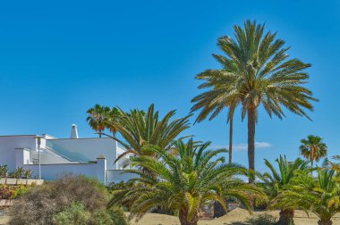 Maspalomalar, Gran Kanaryası, İspanya, Sand Dunes Ulusal Parkı 'nda tatil beldeleri,
