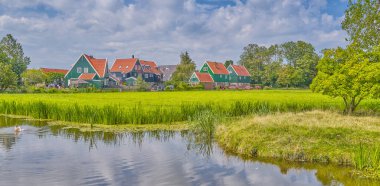 Marken, Hollanda, ekili tarlalar ve kanallar arasında geleneksel köy evleri.