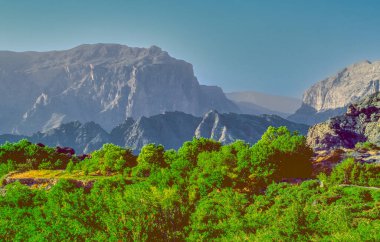 Umman Sultanı, Jebel Al Akdhar, gül yetiştirmeye adanmış yüksek bir dağ sahası..