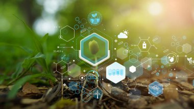 Tohumlar, filizler, topraktan filizlenen, biyografiler, enerjiye dönüşen.