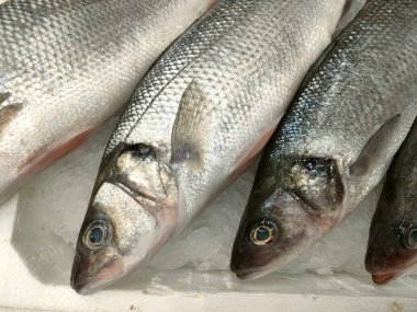 Pazarda taze balık. 