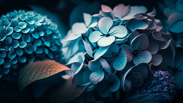 Delicate natural floral background in light blue and violet pastel colors. Texture of Hydrangea flowers in nature with soft focus, macro