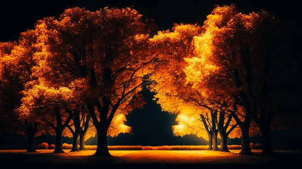 Trees in the golden shades of autumn