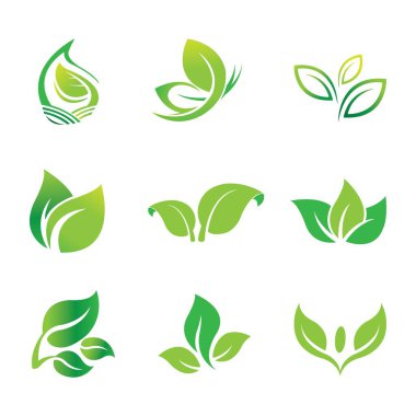 leaf icon logo vector design template