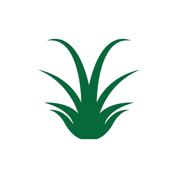 Modèle Conception Vectorielle Logo Icône Herbe — Image vectorielle