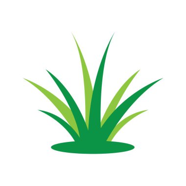 çimen simgesi vektör çizim şablonu