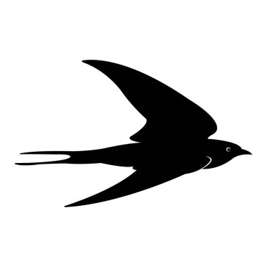 Simge vektör çizim şablonunu yut