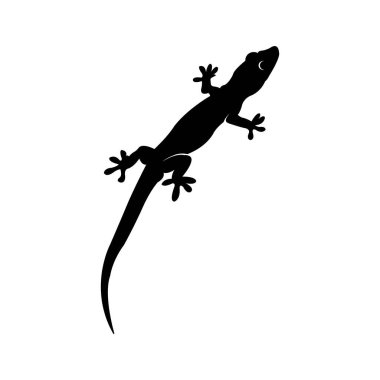 Kertenkele simgesi vektör çizim şablonu