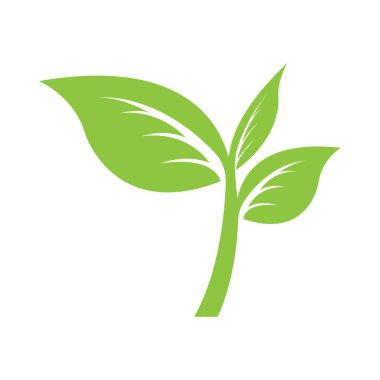 yeşil çay yaprağı ikonu vektör çizim şablonu