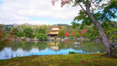 Kyoto, Japonya 'daki Kinkakuji Tapınağı Altın Çadırı ile Renkli Sonbahar.