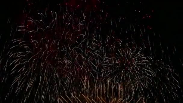 Videó Fényes Tűzijátékról Világít Sötét Éjszakai Égbolton — Stock videók