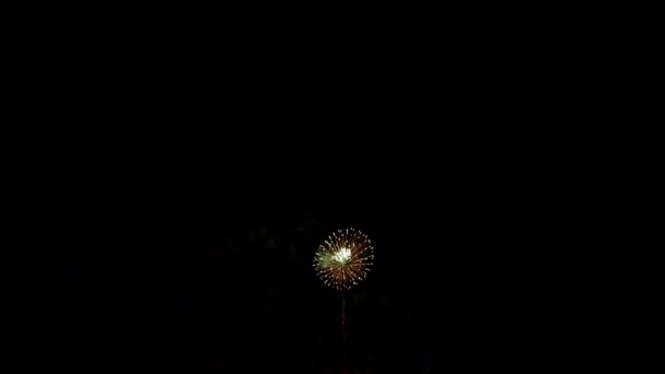 夜空に美しい花火 — ストック動画