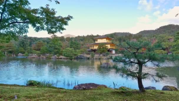 Automne Coloré Avec Temple Kinkakuji Pavillon Kyoto Japon — Video